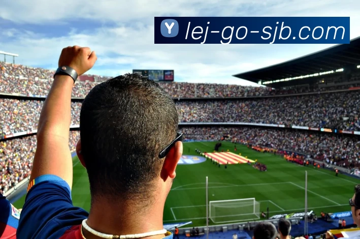 乐竞体育，乐竞体育官网，乐竞体育入口，乐竞体育APP，乐竞体育平台平台生态图